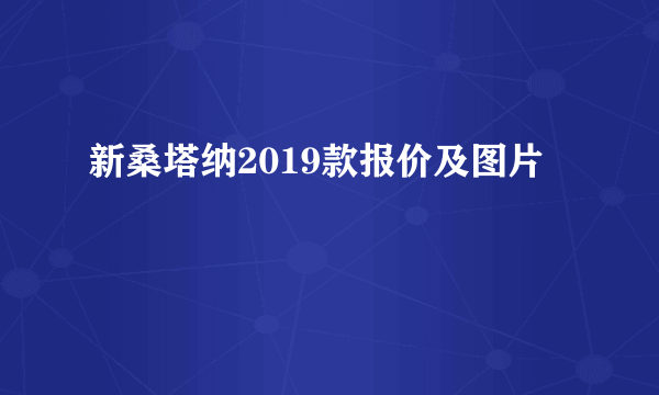 新桑塔纳2019款报价及图片