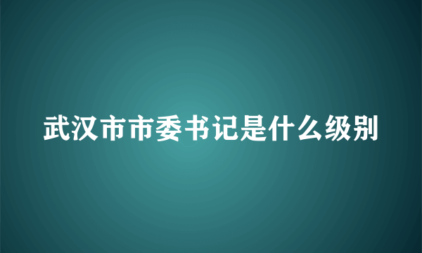 武汉市市委书记是什么级别