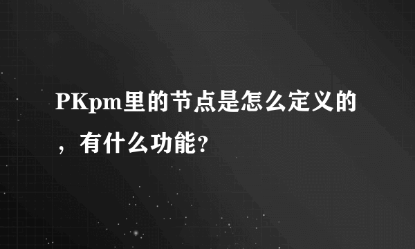 PKpm里的节点是怎么定义的，有什么功能？