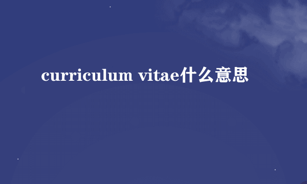 curriculum vitae什么意思