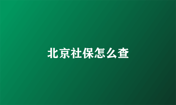 北京社保怎么查