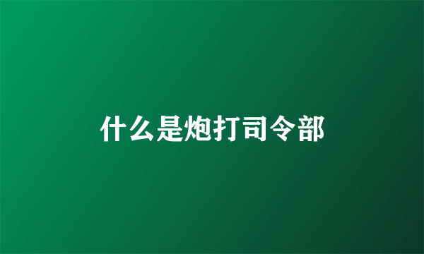 什么是炮打司令部