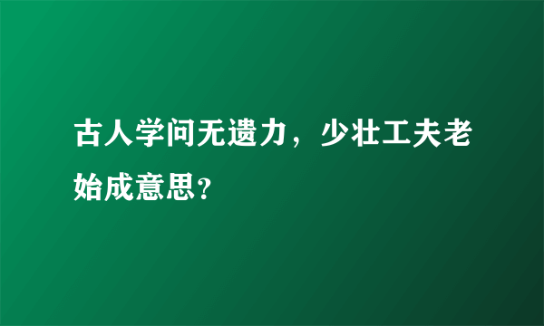 古人学问无遗力，少壮工夫老始成意思？