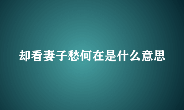 却看妻子愁何在是什么意思