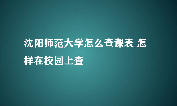 沈阳师范大学怎么查课表 怎样在校园上查