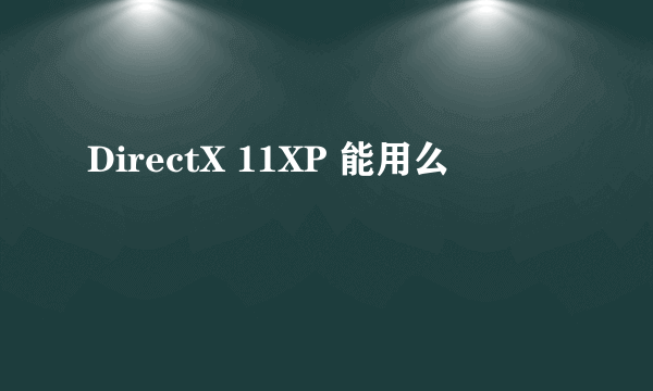 DirectX 11XP 能用么