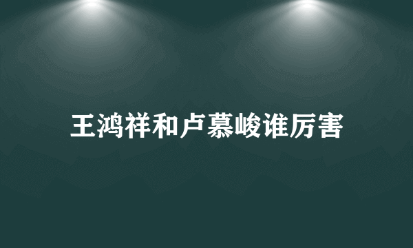 王鸿祥和卢慕峻谁厉害