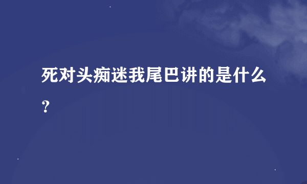 死对头痴迷我尾巴讲的是什么？