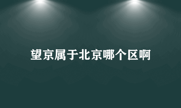 望京属于北京哪个区啊