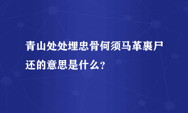 青山处处埋忠骨何须马革裹尸还的意思是什么？