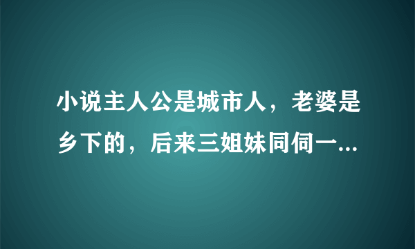 小说主人公是城市人，老婆是乡下的，后来三姐妹同伺一夫的小说