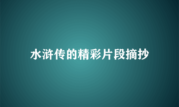 水浒传的精彩片段摘抄