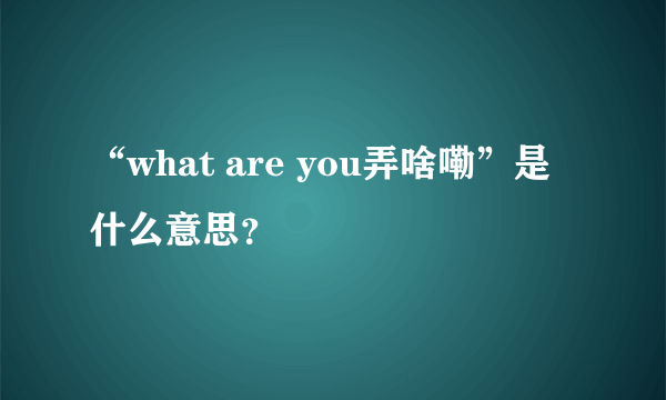 “what are you弄啥嘞”是什么意思？