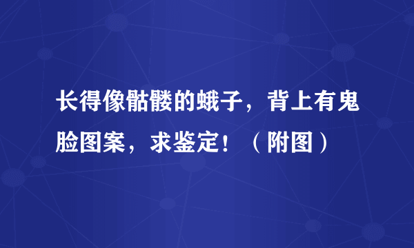 长得像骷髅的蛾子，背上有鬼脸图案，求鉴定！（附图）