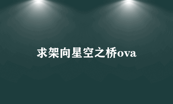 求架向星空之桥ova