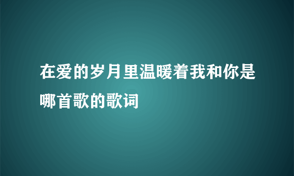 在爱的岁月里温暖着我和你是哪首歌的歌词