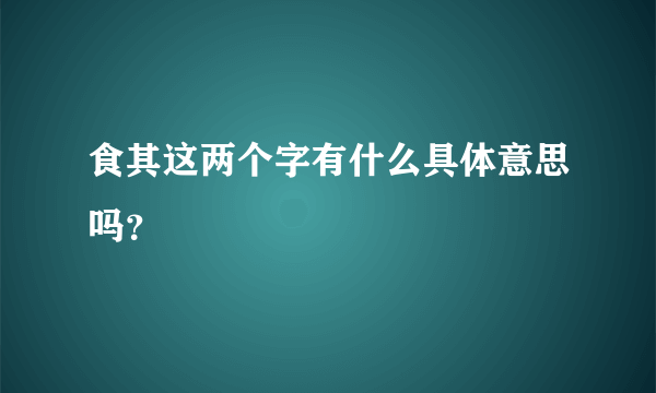 食其这两个字有什么具体意思吗？