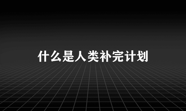 什么是人类补完计划