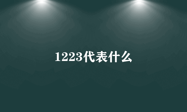 1223代表什么