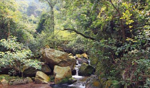 《鼎湖山听泉》的原文