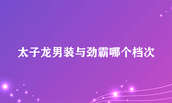 太子龙男装与劲霸哪个档次