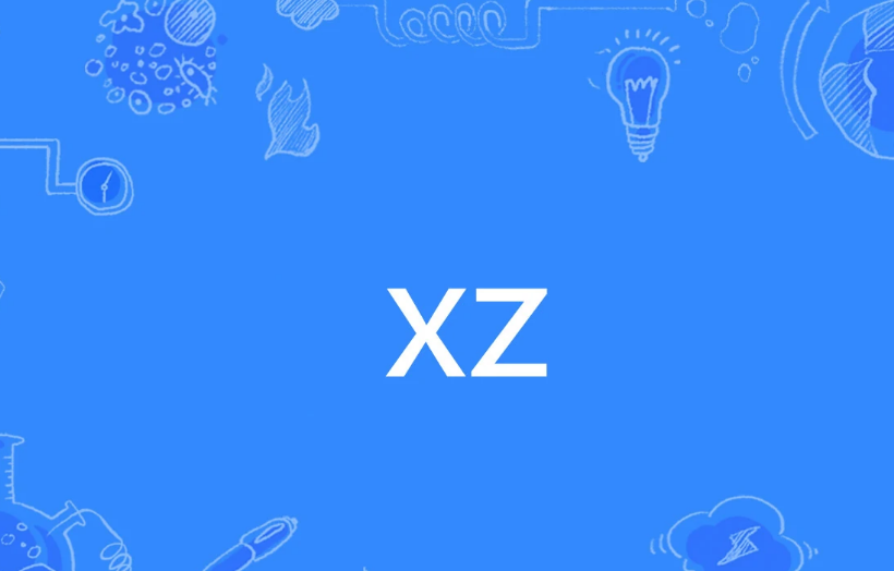 网络用语xz的解释是什么?