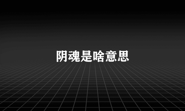 阴魂是啥意思