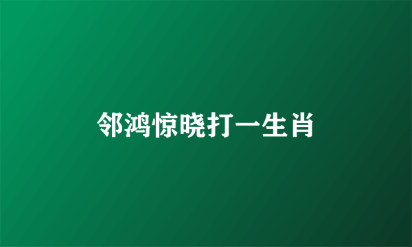 邻鸿惊晓打一生肖