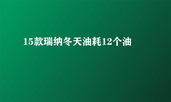 15款瑞纳冬天油耗12个油