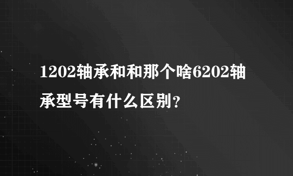 1202轴承和和那个啥6202轴承型号有什么区别？