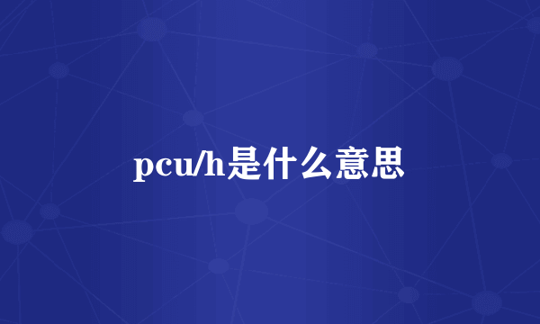 pcu/h是什么意思