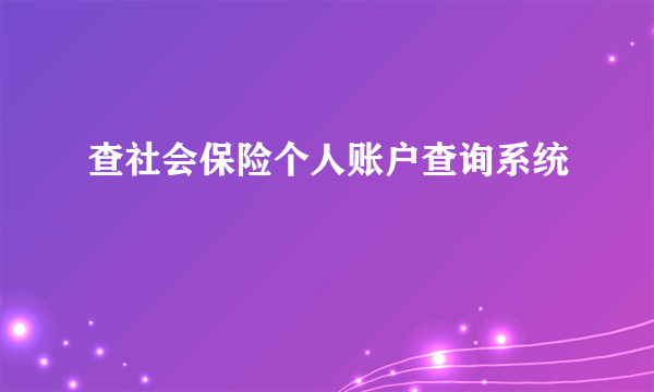 查社会保险个人账户查询系统