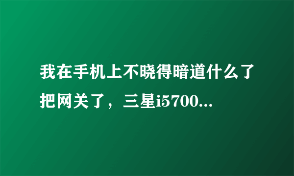 我在手机上不晓得暗道什么了把网关了，三星i5700怎么开网？