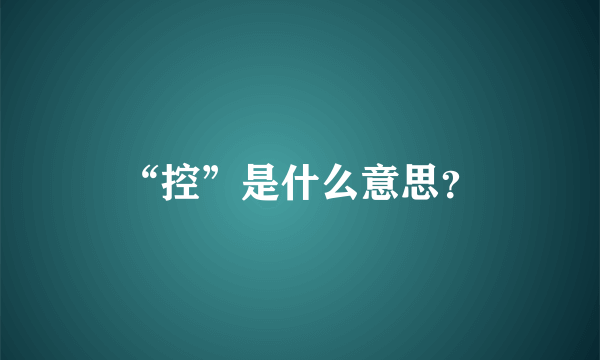 “控”是什么意思？