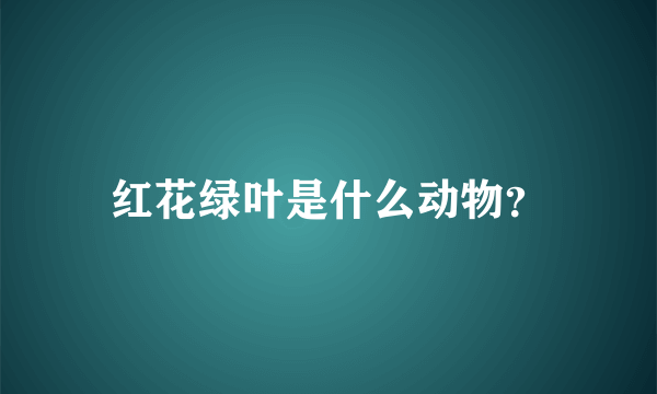 红花绿叶是什么动物？