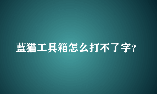 蓝猫工具箱怎么打不了字？