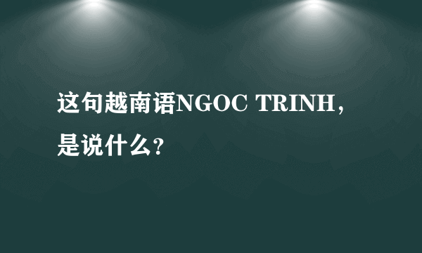 这句越南语NGOC TRINH，是说什么？