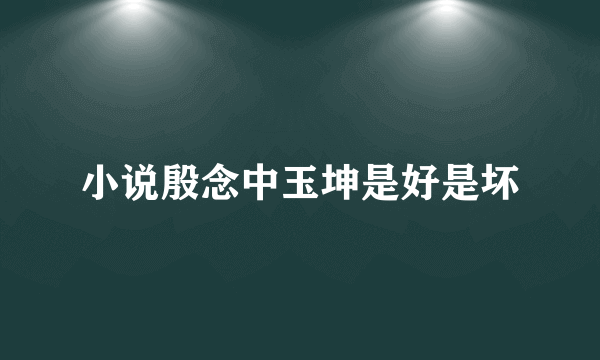 小说殷念中玉坤是好是坏