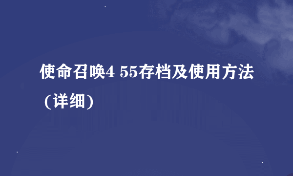 使命召唤4 55存档及使用方法 (详细)