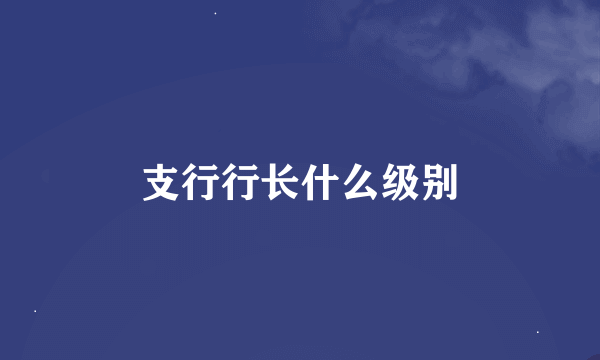 支行行长什么级别