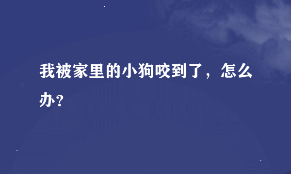 我被家里的小狗咬到了，怎么办？