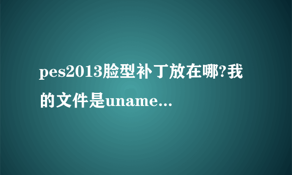 pes2013脸型补丁放在哪?我的文件是unamed的那种