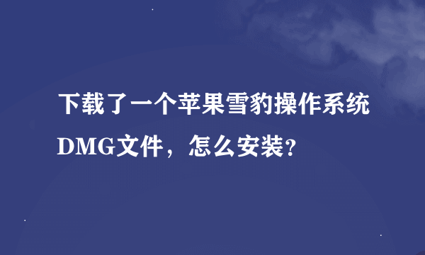 下载了一个苹果雪豹操作系统DMG文件，怎么安装？