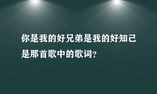 你是我的好兄弟是我的好知己是那首歌中的歌词？