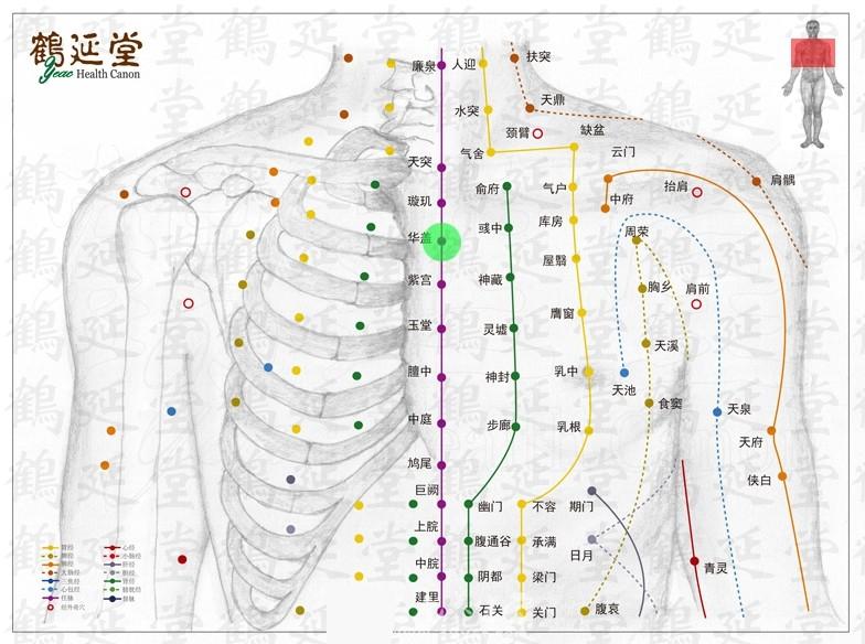 胸部正中央的穴位叫什么？（最好附张人体学位分布图）谢谢！