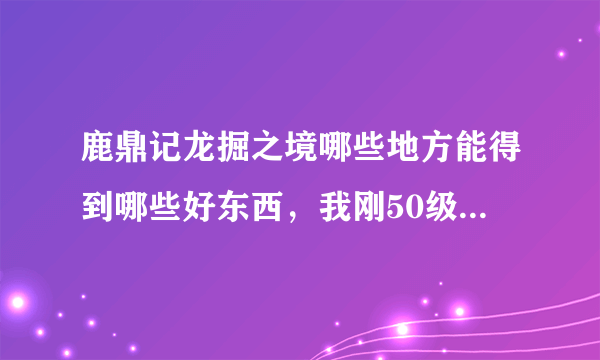 鹿鼎记龙掘之境哪些地方能得到哪些好东西，我刚50级，去了龙掘之境发现没什么事做，回答的好加分