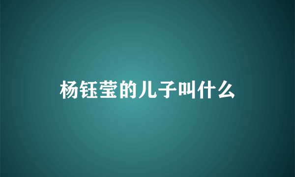 杨钰莹的儿子叫什么