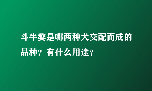 斗牛獒是哪两种犬交配而成的品种？有什么用途？