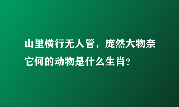 山里横行无人管，庞然大物奈它何的动物是什么生肖？