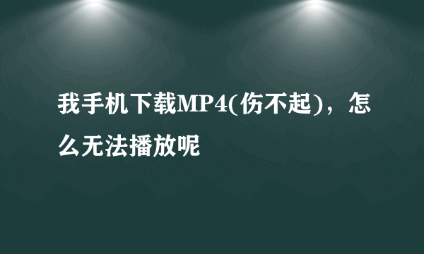 我手机下载MP4(伤不起)，怎么无法播放呢